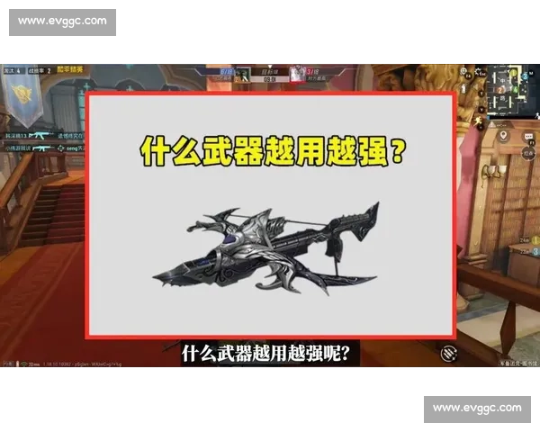 十连胜封神！浙 BA 富阳队的超燃征途